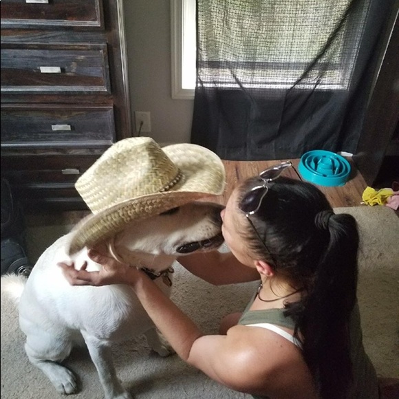 Meet your Posher, Danny - Picture 2 of 7